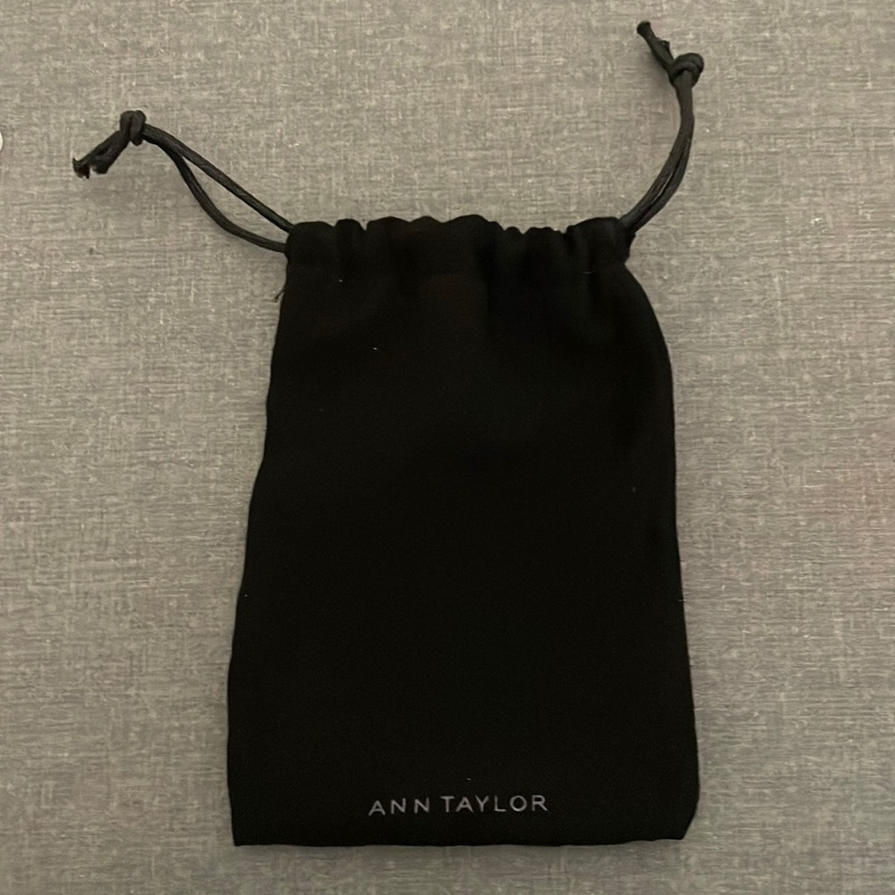 Ann Taylor dust bag in black velvet